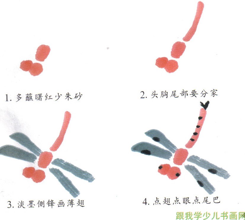 教儿童画中国画蜻蜒画法