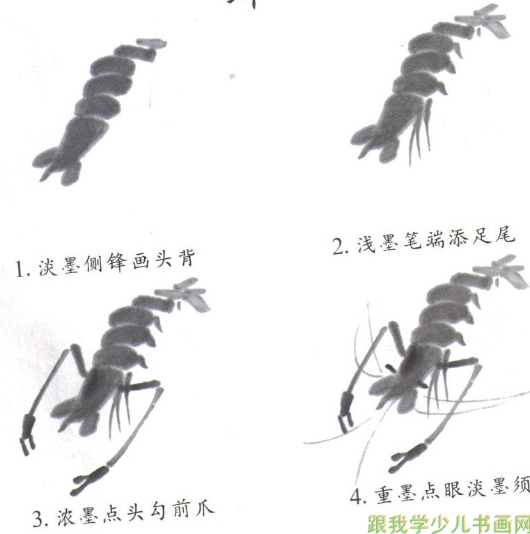 教儿童画中国画虾画法