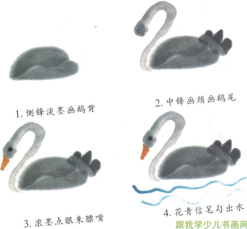 教儿童画中国画天鹅画法