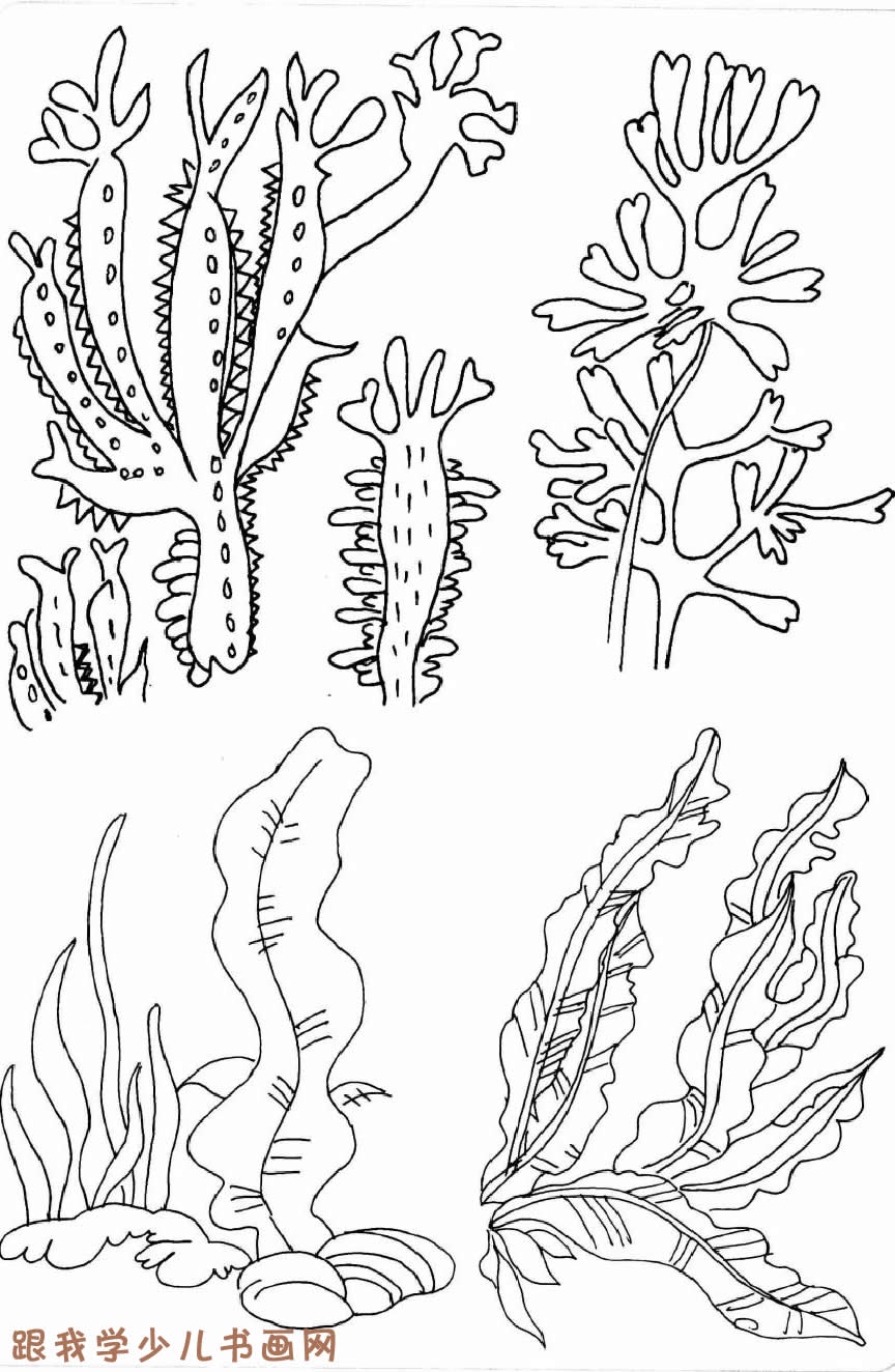 简笔画:各种各样的珊瑚,海草2[图]