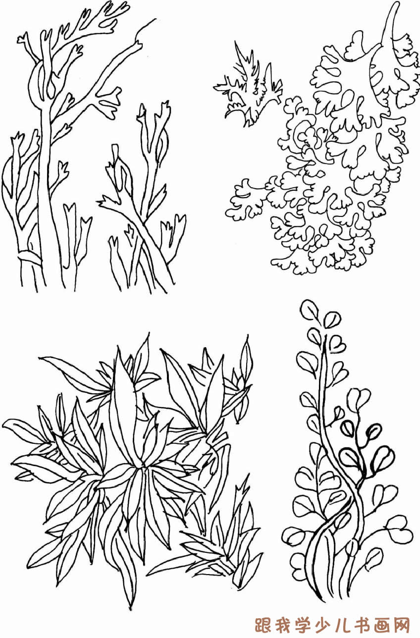 简笔画:各种各样的珊瑚、海草3[图]--简笔画